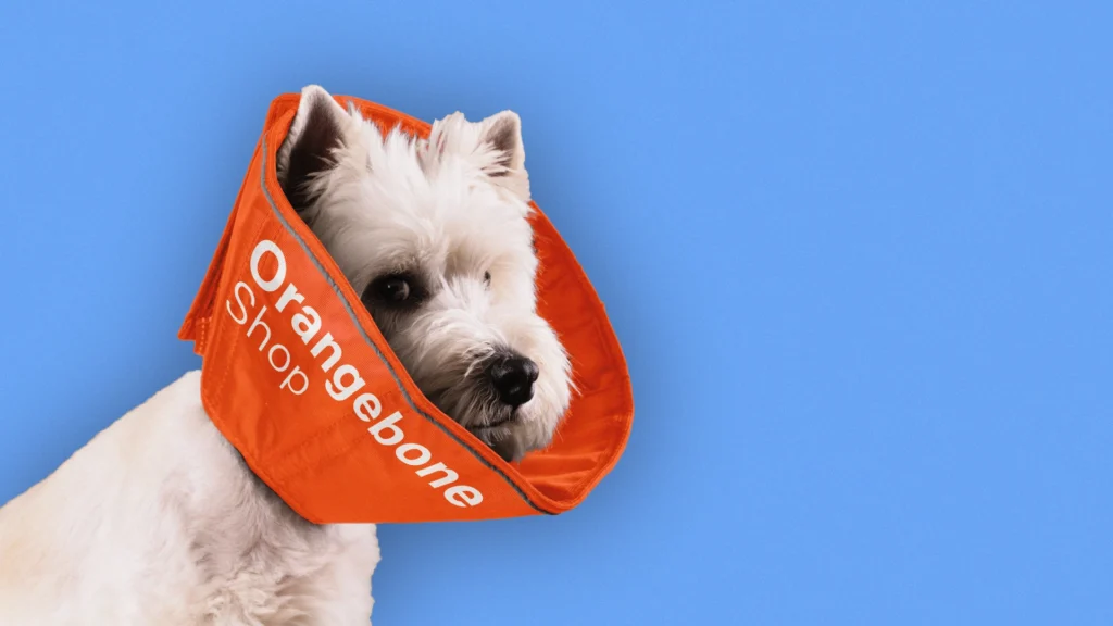 پروژه برندینگ استخوان نارنجی