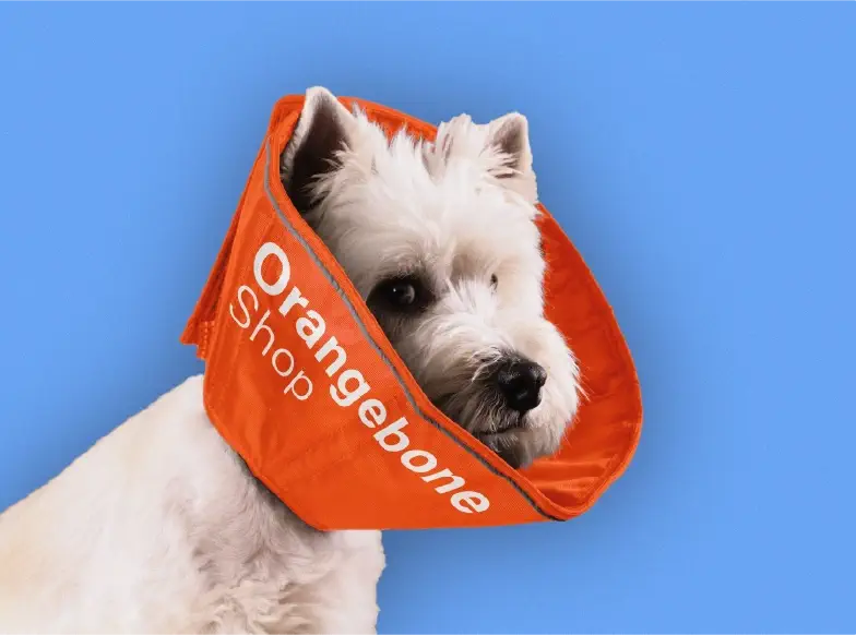 پروژه برندینگ استخوان نارنجی